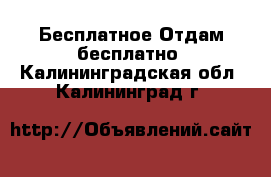 Бесплатное Отдам бесплатно. Калининградская обл.,Калининград г.